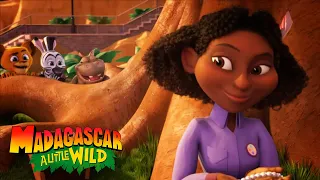 Happy Birthday Kate! | Madagascar: A Little Wild