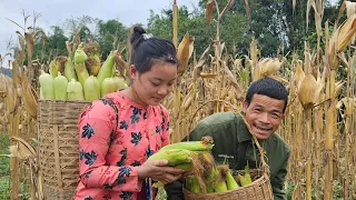Grandpa and Sua Planting Flowers Around the House: Corn Harvest Season Without Pao at Home