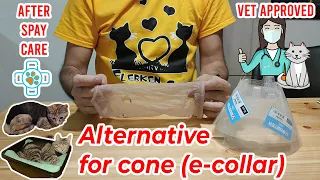 DIY: How To Make Cat Cone Alternative - Cats protection after spay surgery