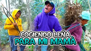 GRACIAS SEÑOR PRESIDENTE POR CORTAR LA LUZ | Señora Marianita Ft. Rommel Racp