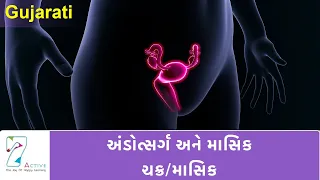 OVULATION & THE MENSTRUAL CYCLE | GUJARATI