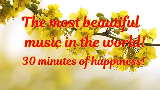 THE MOST BEAUTIFUL MUSIC! 30 MINUTES OF BLISS! MUSIC SERGEY GRISCHUK-MUSIC OF LOVE!