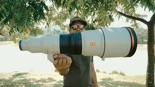 Full Review SONY ALPHA Lens 600mm F4 GM & 200-600mm G