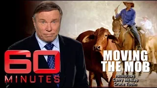 Moving the mob (2014) - The greatest cattle drive in 100 years | 60 Minutes Australia