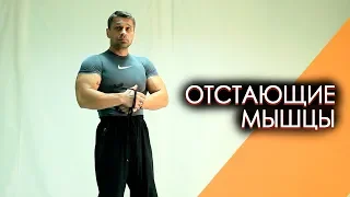 Отстающие мышцы - что делать? //Вячеслав Герасимов