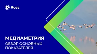 Основы медиаметрии в наружной рекламе: основные показатели и понятия. Виктория Чернова