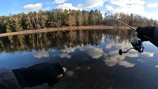 Lašišos žvejyba. Pavasario sezono atidarymas.