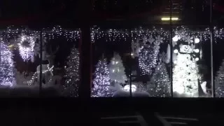 2014 Christmas Window Display