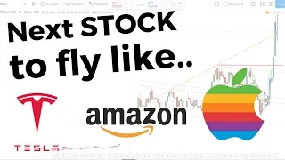 Stocks to Buy | Next Tesla stock Amazon stock