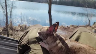 Первый выезд на природу🏕 в 2023. Одых на озере "Стрешно" Кемпинг. Бензопила CHAMPION 125T-10.💪