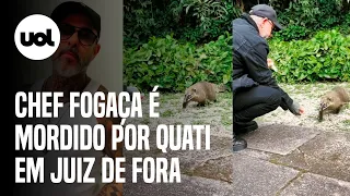 Chef Fogaça vai parar em hospital após ser mordido por quati em MG: 'Na próxima, vou usar o garfo'