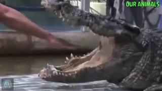 Top 10 Crocodile Attacks on Humans Compilation!