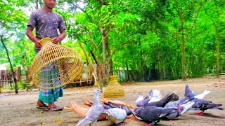 New Amazing Technique To Catch Pigeon With Fishing Tools Polo | How To Trap Bird At Home