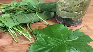 Как мариновать виноградные листья | How to marinate grape leaves | Ինչպես մարինացնել ՝ խաղողի տերևը