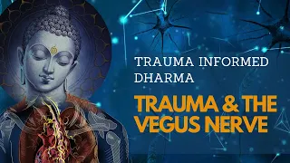 Trauma and the Vagus Nerve | Trauma Informed Dharma