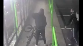 Bike thieves at work . . . thugs !!