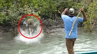 5 Scary Tiger Encounters You Should Avoid Clicking On