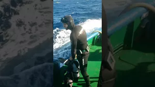 Checking Tuna cages