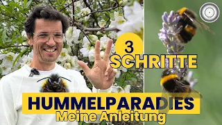 Unsere HUMMELN brauchen dich! Meine drei TOP-TIPPS für jeden Garten.