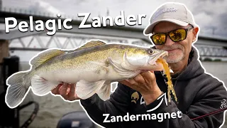 Pelagisch auf Zander mit dem neuen TwinTeez Pelagic | Westin Fishing (Deutsch)