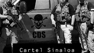 Reportage Cartels de Sinaloa Les Baron du Mexique