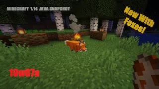 Minecraft 1.14 Java Snapshot 19w07a