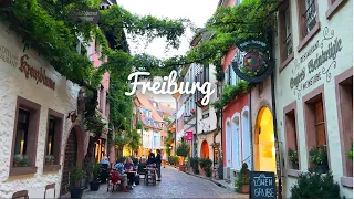 [4K]🇩🇪Freiburg, Germany : Beautiful University City in Black Forest, Beer🍺 & Schweinshaxe🍖 Sep. 2023