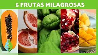 5 FRUTAS MEDICINALES que debes INCLUIR en tu DIETA 🥭✅  ¡Aprovecha sus BENEFICIOS!