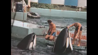 Miami (Seaquarium) 1978 archive footage