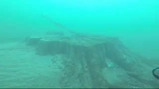 Champlain's Tree - Moulinette, Ontario, Canada