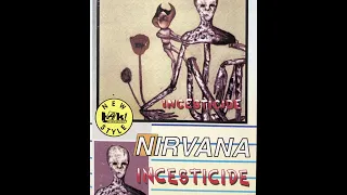 Nirvana - Big Long Now (Audio Cassette)