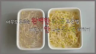 완벽한 콩나물보관법, 아삭한 콩나물데치기, How to keep bean sprouts