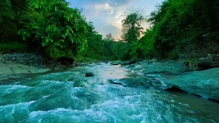 Flowing river with a beautiful sunset, gurgling water in the middle of a calm forest