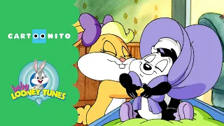 Baby Looney Tunes | Jealous Sylvester | Cartoonito