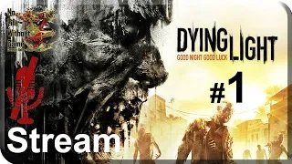 Dying Light[#1] - Город Мертвых (Прохождение на русском(Без комментариев))