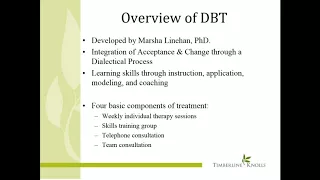 DBT and the 12 Step Model for Addiction Treatment