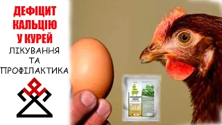 ДЕФІЦИТ КАЛЬЦІЮ У КУРЕЙ - лікування та профілактика