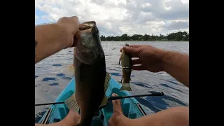 1st bass with the Deps Slide Swimmer 175.