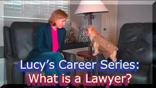 Lucy's Career Series: What is a Lawyer? Interview for Kids