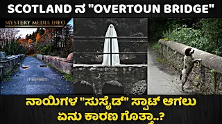 Scotland Bridge Leads Dog's to Their Death | Mysteries story in Kannada | Mystery media info