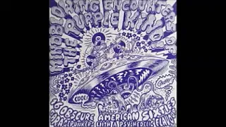 VA ‎– Mindblowing Encounters Of The Purple Kind! American 60s Garagepunkers With Psychedelic Flavour