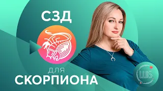 СЗД для Скорпиона. Солнцезажигающие действия. СЗД для знаков Зодиака