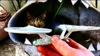 Cat meets Star Trek 😂 🚀 Diecast  Eaglemoss model #startrek #diecast