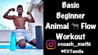Basic beginner Animal 🦓 Flow workouts , #coachmathi #animalflow #homeworkou #homefitness#weightloss