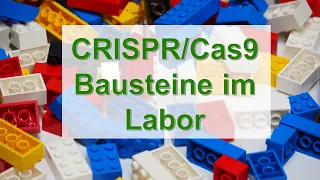 Stein für Stein – CRISPR/Cas9 im Labor (Fast Forward Science 2019)