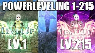 Powerleveling 1-215 - Most Efficient Leveling Guide - Toram Online