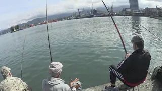 Батуми. Грузия. Рыбалка на море в Батуми. Что на что клюет?