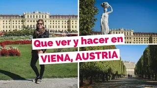 20 Cosas Que Ver y Hacer en Viena, Austria Guía Turística