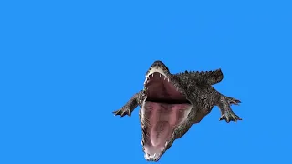 Сборник футажей на зелёном фоне Дикие звери Тигр Лев Крокодил Анимация 3D Green screen effects