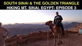 HIKING MOUNT SINAI | BREATHTAKING SUNRISE | SOUTH SINAI & THE GOLDEN TRIANGLE SERIES | EPISODE 3